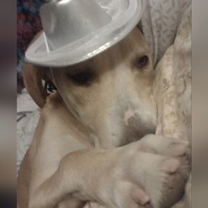 Meet your Posher, Madeline